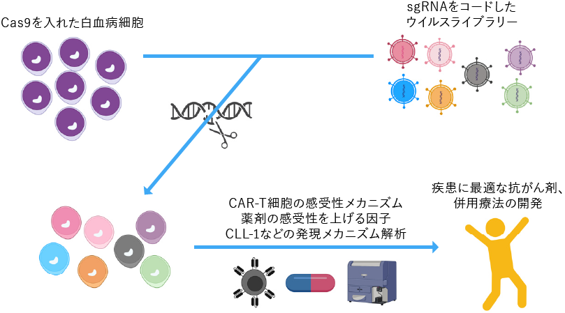 Image of CRISPR screening image